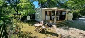 Mobile home avec terrasse et piscine.